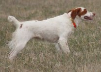 May 2022 - 2.jpg May 2022 - 2.jpg