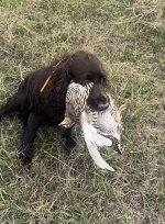 IMG_4950.jpeg