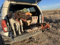 IMG_8108.jpeg IMG_8108.jpeg