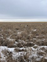 IMG_5712.jpeg IMG_5712.jpeg