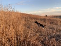 IMG_8276.jpeg