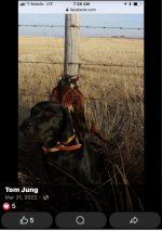 IMG_3882.jpeg