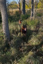 IMG_6056.jpeg