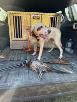 IMG_0309.jpeg