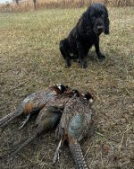IMG_4253.jpeg