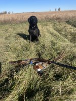 IMG_4017.jpeg