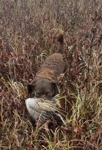 IMG_4984.jpeg