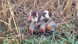 20251026_181009.jpg 20251026_181009.jpg