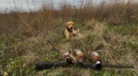 IMG_2774.jpeg IMG_2774.jpeg