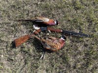 IMG_3883.jpeg