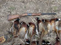 IMG_3908.jpeg