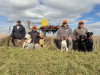 1000008729.jpg 1000008729.jpg