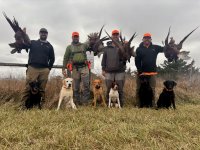 1000008727.jpg 1000008727.jpg