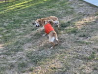 1761915832021.png 1761915832021.png