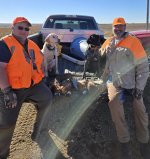 11-2-25 roosters.jpg