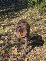 IMG_6498.jpeg IMG_6498.jpeg