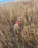 1762456351947.png 1762456351947.png