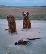 20251106_171202.jpg 20251106_171202.jpg