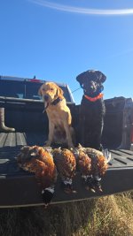 1000008792.jpg 1000008792.jpg