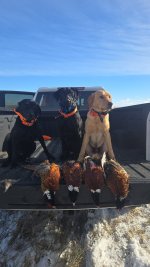 1000008788.jpg 1000008788.jpg