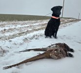 1000008778.jpg 1000008778.jpg