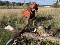 54ffbd81-1733-4578-a466-dcb85dbc8393.jpg 54ffbd81-1733-4578-a466-dcb85dbc8393.jpg