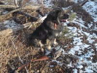 DSCF3037.JPG DSCF3037.JPG