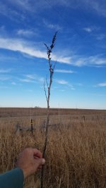 20221105_151323 (1).jpg