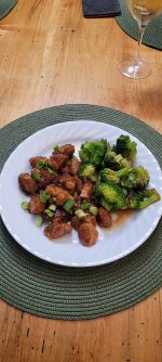 chinese pheasant.jpg