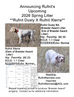 Litter Announcement Dusty X Terra 11-19-25 3000pix.jpg
