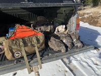 IMG_7130.jpeg IMG_7130.jpeg