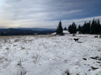 IMG_7128.jpeg IMG_7128.jpeg