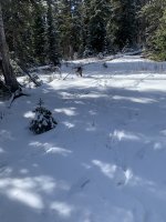 IMG_7124.jpeg IMG_7124.jpeg