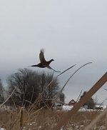 gpMediaMetadata_1764558078213.jpg gpMediaMetadata_1764558078213.jpg