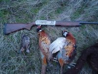 sweet 16.jpg sweet 16.jpg