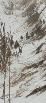 Klemme cocks.jpg Klemme cocks.jpg