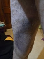 20251211_055006.jpg 20251211_055006.jpg