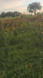 20250719_201747.jpg 20250719_201747.jpg