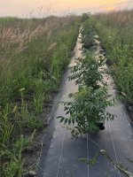 20250908_193450.jpg 20250908_193450.jpg