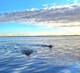 20241111_160050.jpg 20241111_160050.jpg