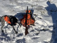 IMG_3475.jpeg IMG_3475.jpeg