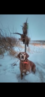 Screenshot_20251210_182017_Gallery.jpg Screenshot_20251210_182017_Gallery.jpg