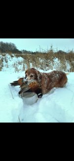 Screenshot_20251210_181928_Gallery.jpg Screenshot_20251210_181928_Gallery.jpg