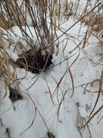 IMG_20251214_154946005_HDR.jpg IMG_20251214_154946005_HDR.jpg