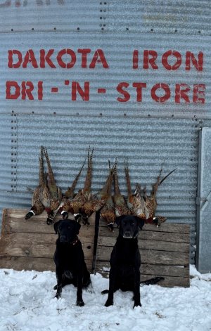 SD Phez Grain Bin.jpg