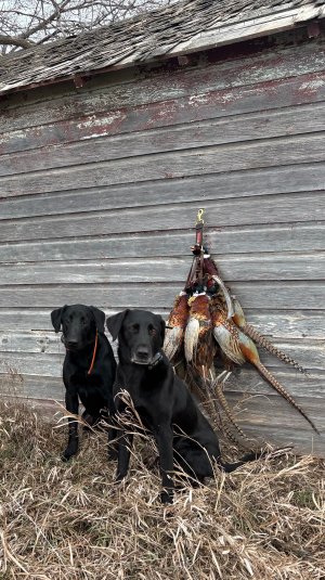 ty doc phez laynyard.jpg