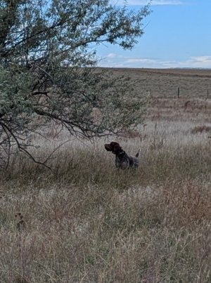 original_e70097d8-c67e-48c1-adcc-c86379b902c5_PXL_20251014_181316375.MP.jpg original_e70097d8-c67e-48c1-adcc-c86379b902c5_PXL_20251014_181316375.MP.jpg