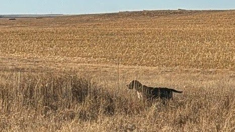 PXL_20251214_214053191.MP~2.jpg PXL_20251214_214053191.MP~2.jpg