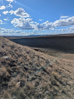 PXL_20250929_220651785.MP.jpg PXL_20250929_220651785.MP.jpg