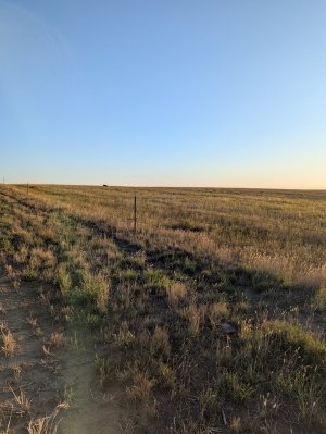 PXL_20250901_125525493.jpg PXL_20250901_125525493.jpg